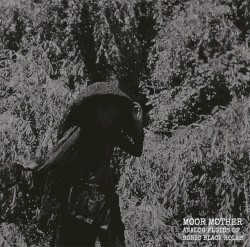 Analog Fluids of Sonic Black Holes