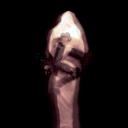 De contemplanda morte; De reverencie laboribus ac adorationis