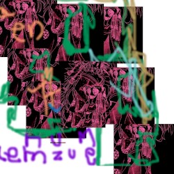 雨 ame 飴 ame ウズメ uzume