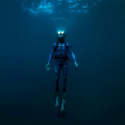 Seatrekking (Original Motion Picture Soundtrack)