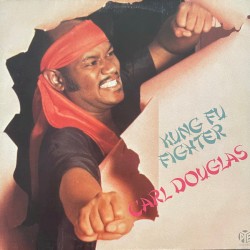 Kung Fu Fighter