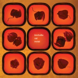 Summer's Seething Pulse