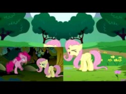 Avast Fluttershy’s Ass