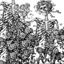 Damien De Coene / N0123NOISE