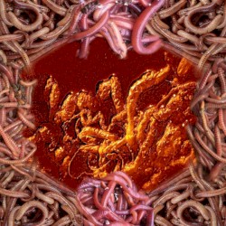 Chier / Asleep In The Lake