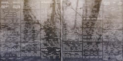 Senescent Signs