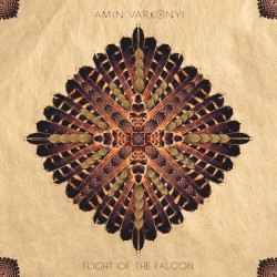 Flight of the Falcon