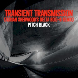 Transient Transmission (Adrian Sherwood’s Delta B(0)=B remix)