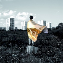 Greyhound Racing / Wallpaper