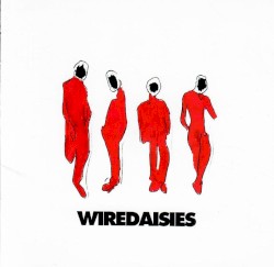 Wire Daisies