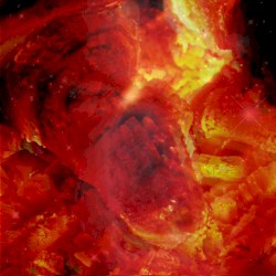 Memories of the Woods