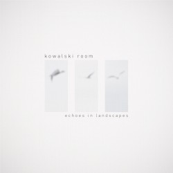 Echoes in Landscapes