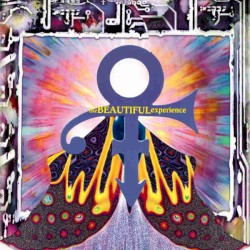 The Beautiful Experience