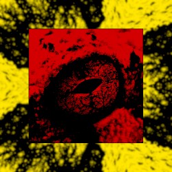 Enfield Horror (remix)