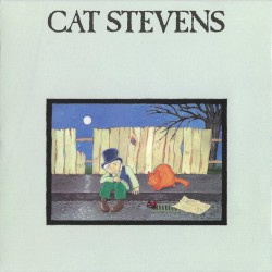 Teaser and the Firecat