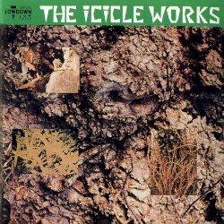 The Icicle Works