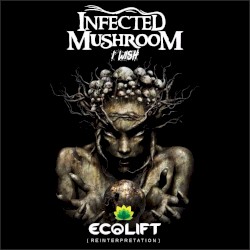 I Wish (Ecolift Reinterpretation)