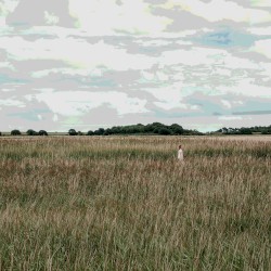 English Country Music (bonus tracks)