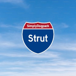 Strut