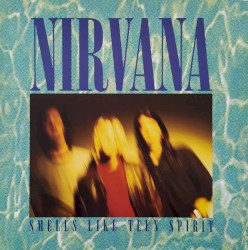 Smells Like Teen Spirit