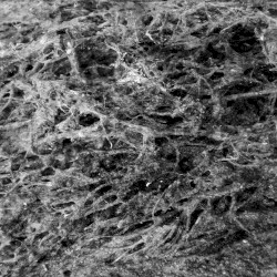 Legions in the Walls: Ultra Physical Performances 94–95