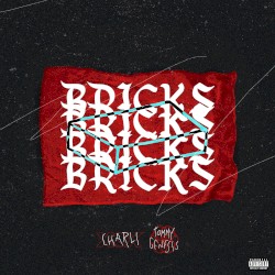 Bricks