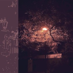 How It Feels To Be Completely, Truly Alone