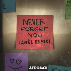 Never Forget You (Amél remix)
