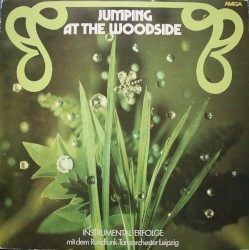 Jumping at the Woodside - Instrumental-Erfolge mit dem Rundfunk-Tanzorchester Leipzig