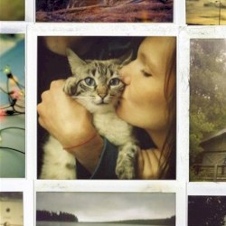 My Friends All Died in a Plane Crash