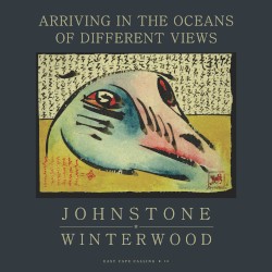 Arriving in the Oceans of Different Views