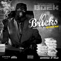 10 Bricks
