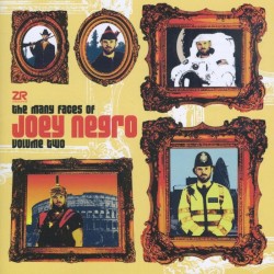 The Many Faces of Joey Negro, Volume 2