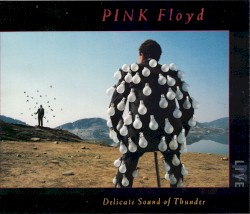 Delicate Sound of Thunder