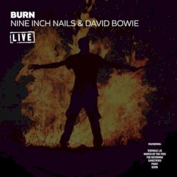 Burn
