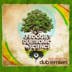 Soul Vibrations (Dub Remixes)