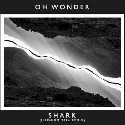 Shark (ILLENIUM 2014 remix)