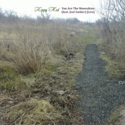 You Are the Moonshine (Live)