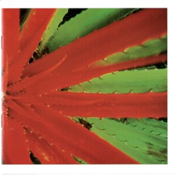 This Afternoons Malady