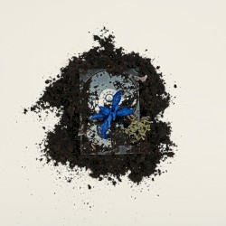 Замри (Pure Version)