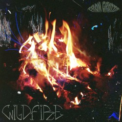 Wildfire