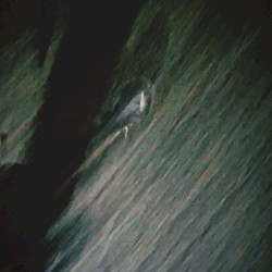 It's a Wonderful Life