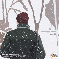 Wandering in the Snow