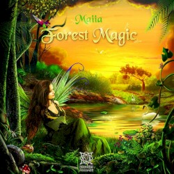 Forest Magic