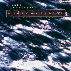 Into Dark Water