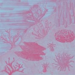 In Asymmetric Oceans