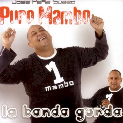 Puro mambo