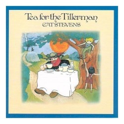 Tea for the Tillerman