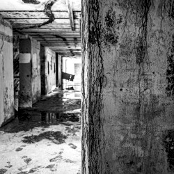 Bunker