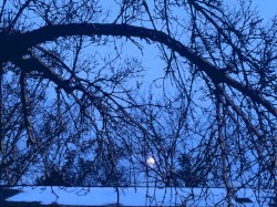 The-Beautiful-Presentation